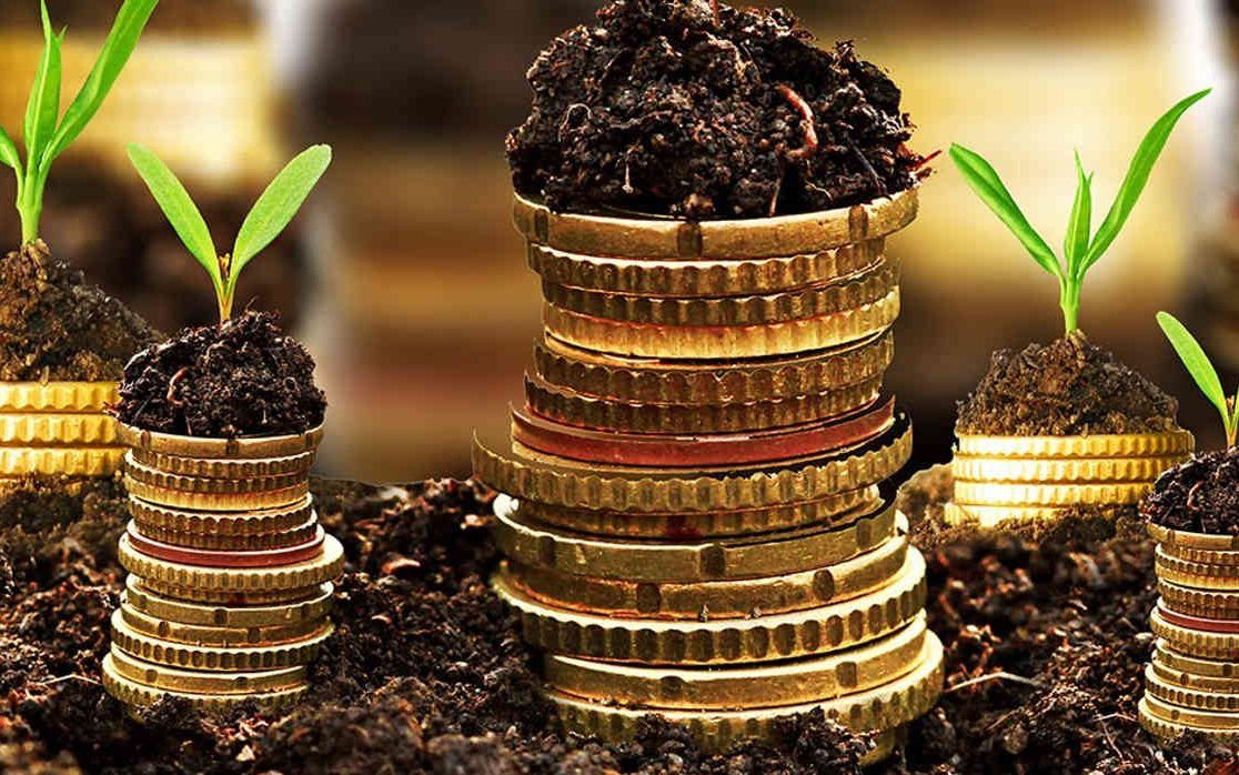 Análise de Investimentos Agrícolas