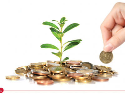 Análise de investimentos agrícolas – UFCD 6364