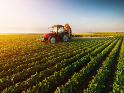 Solo, clima e plantas na produção agrícola – UFCD 6277