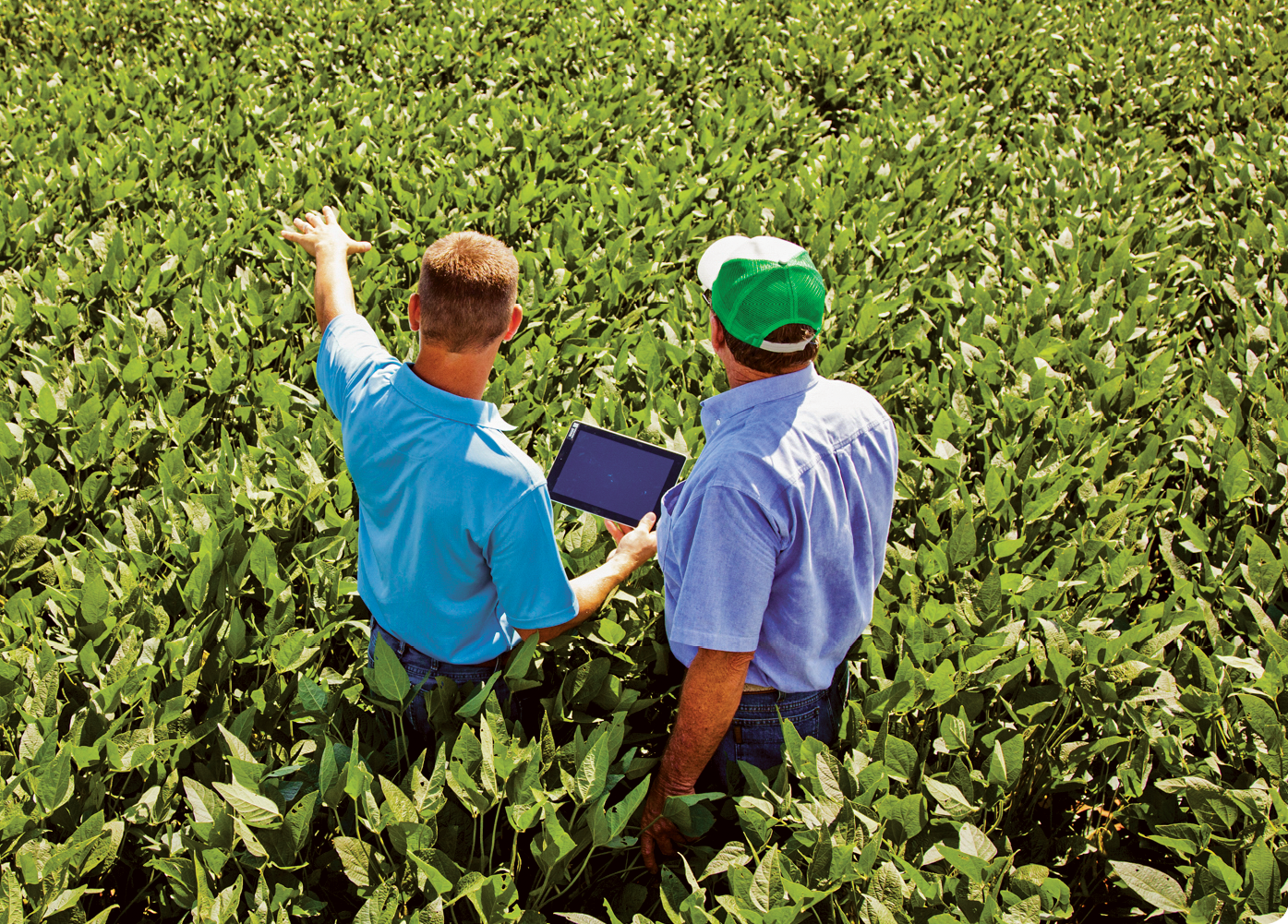 gestão empresa agrícola